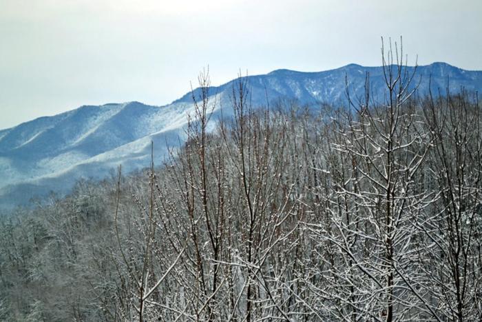 Mountain High Villa Gatlinburg Eksteriør billede